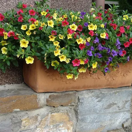 Haus Weingarten Appartements-zimmer 4*