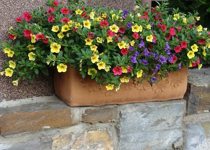 Haus Weingarten Appartements-zimmer 4*