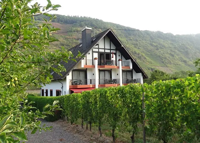 Haus Weingarten Appartements-zimmer Guest house Ernst